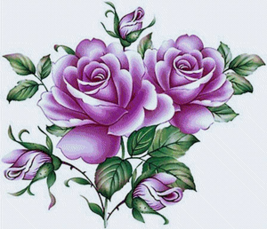 Розы - букет, цветок, цветы, роза - предпросмотр