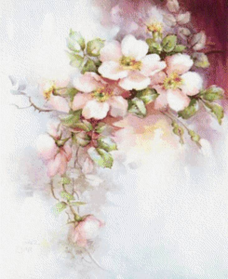 №582366 - цветы - предпросмотр