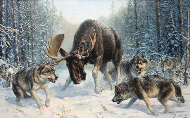 волчья охота - волки, снег, зима, охота, лес - оригинал