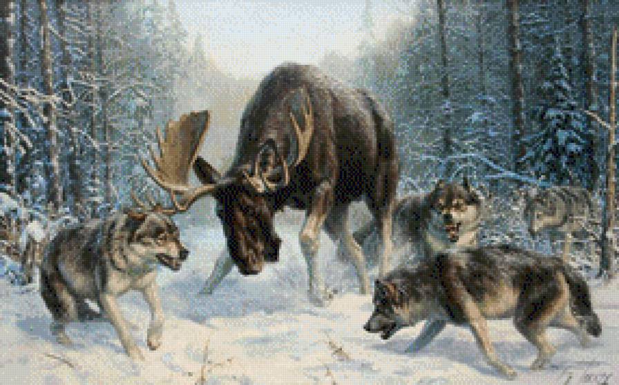 волчья охота - волки, зима, лес, охота, снег - предпросмотр