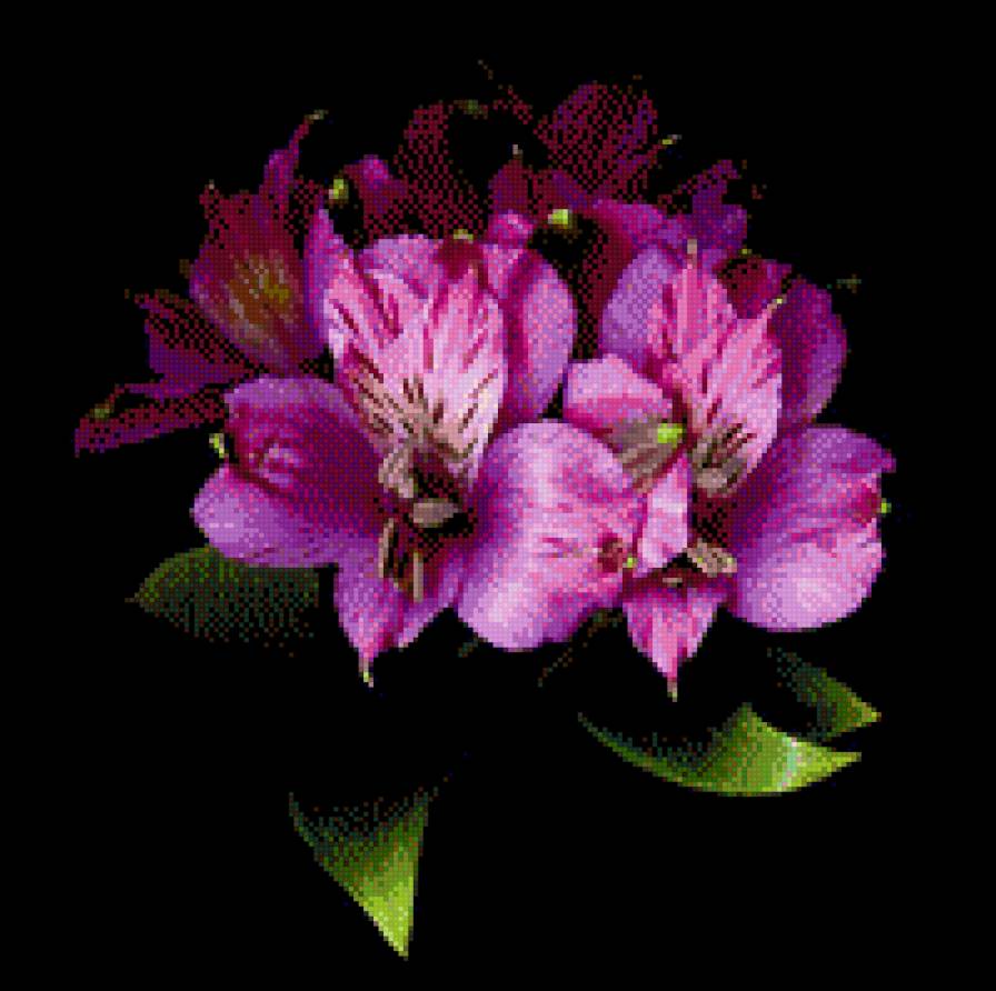 Лилия - цветы - предпросмотр