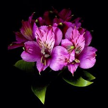 Схема вышивки «Лилия»