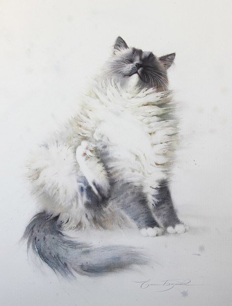 Киска - животные, кошки - оригинал