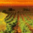 Предпросмотр схемы вышивки «виноградник» (№583121)