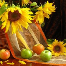 Схема вышивки «подсолнухи»