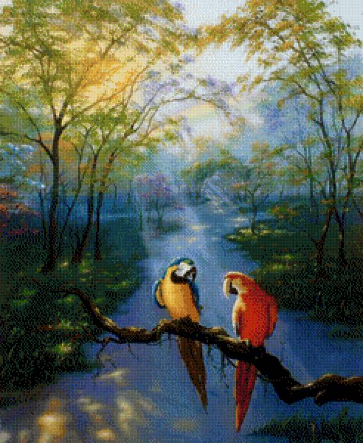 Попугаи.Джим Уоррен - живопись, попугаи, птицы, джим уоррен - предпросмотр