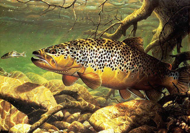 №583234 - оригинал