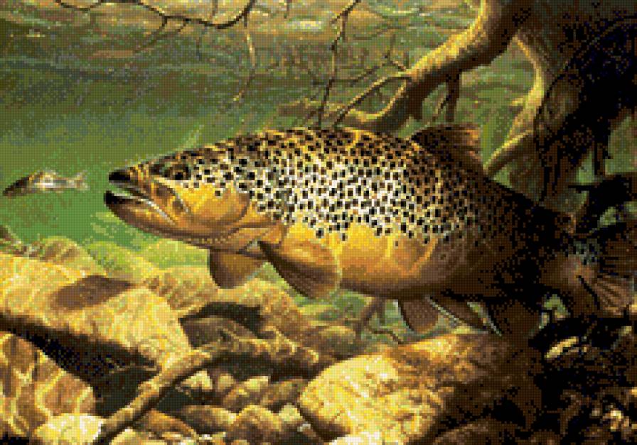 №583234 - предпросмотр