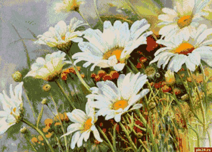 ромашки - ромашки цветы - предпросмотр