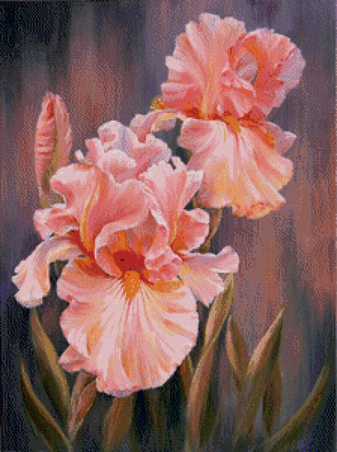 №583438 - предпросмотр