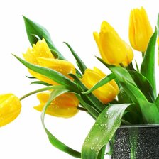 Схема вышивки «№583470»