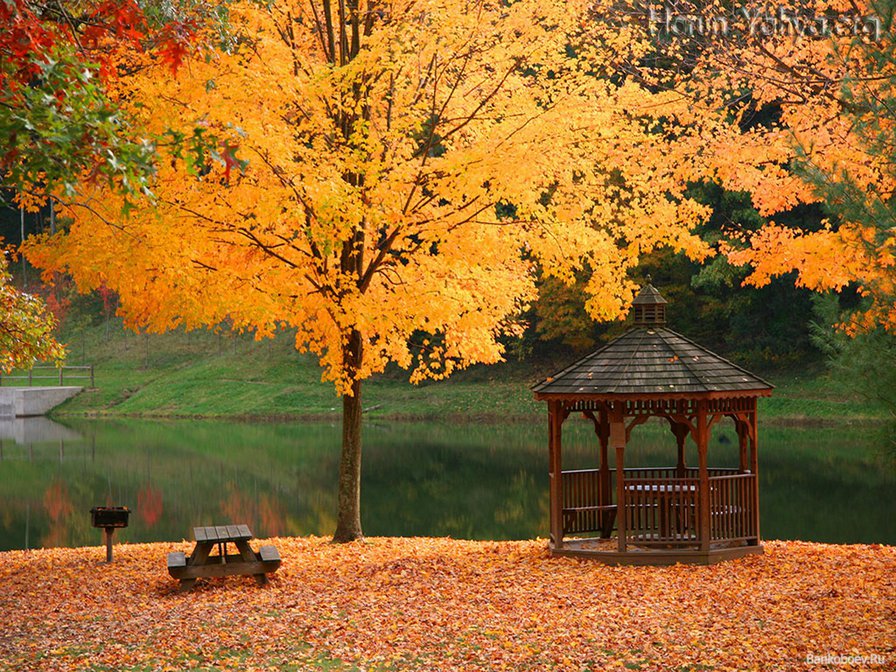 №583482 - оригинал