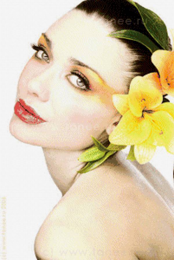 №583499 - предпросмотр