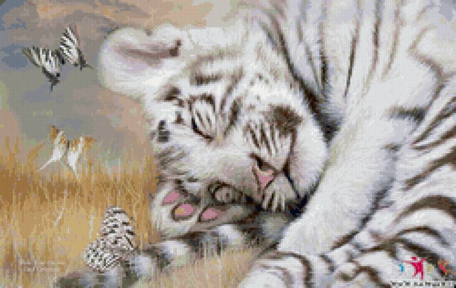 сладкий сон - бабочки, звери, тигренок - предпросмотр