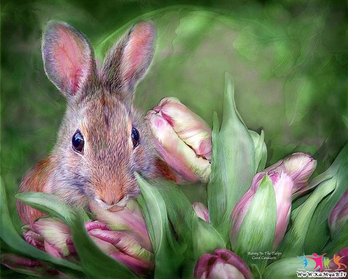 кролик в тюльпанах - тюльпаны, кролик, цветы, звери - оригинал