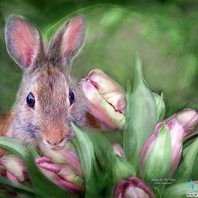 кролик в тюльпанах