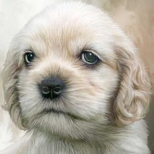 Схема вышивки «щенок»