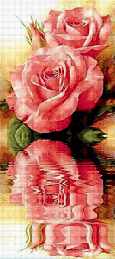 Отражение розы - отражение, роза.вода - предпросмотр