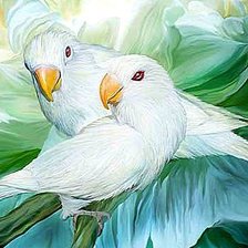 Схема вышивки «Попугайчики»