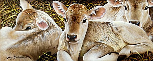 Телята - животные, телята - оригинал