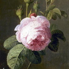 Схема вышивки «Ch.Van Pol»