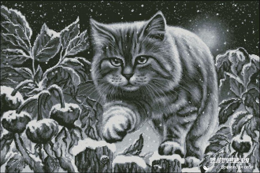 Котик - кот, ночь, животные, кошка, снег - оригинал