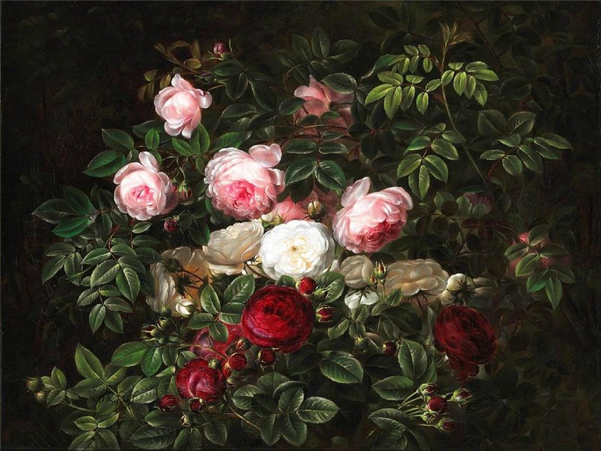 Jensen - roze w malarstwie - оригинал