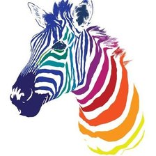 Схема вышивки «Цветная зебра»