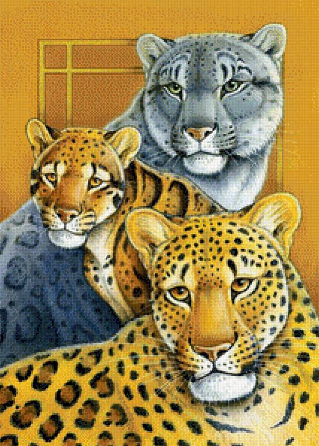 животные планеты - пума, хищник, ягуар, леопард - предпросмотр