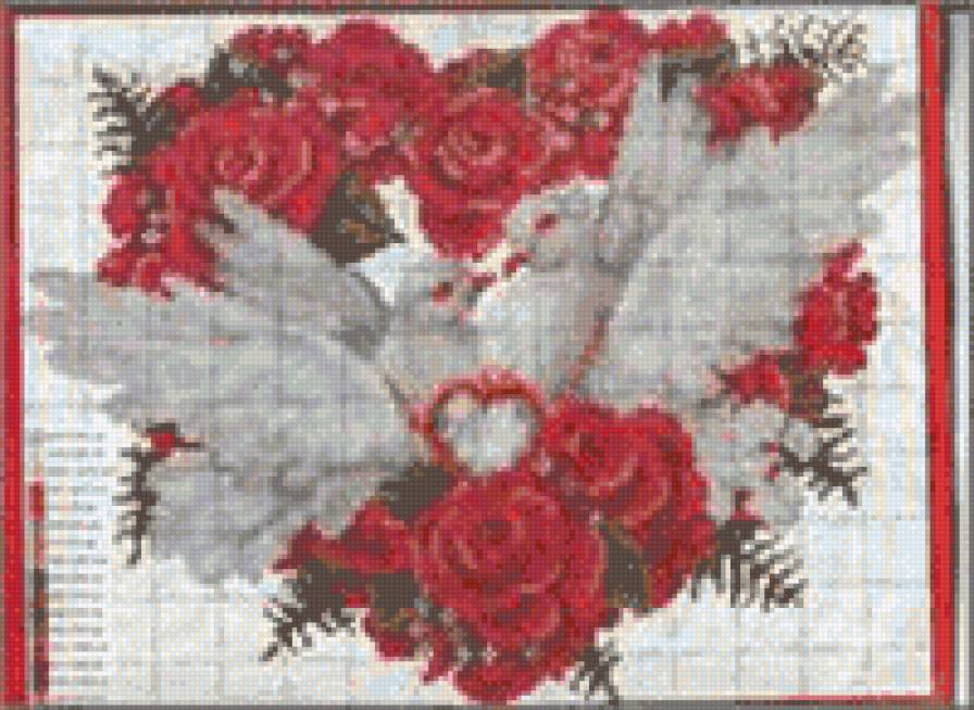 голуби - предпросмотр