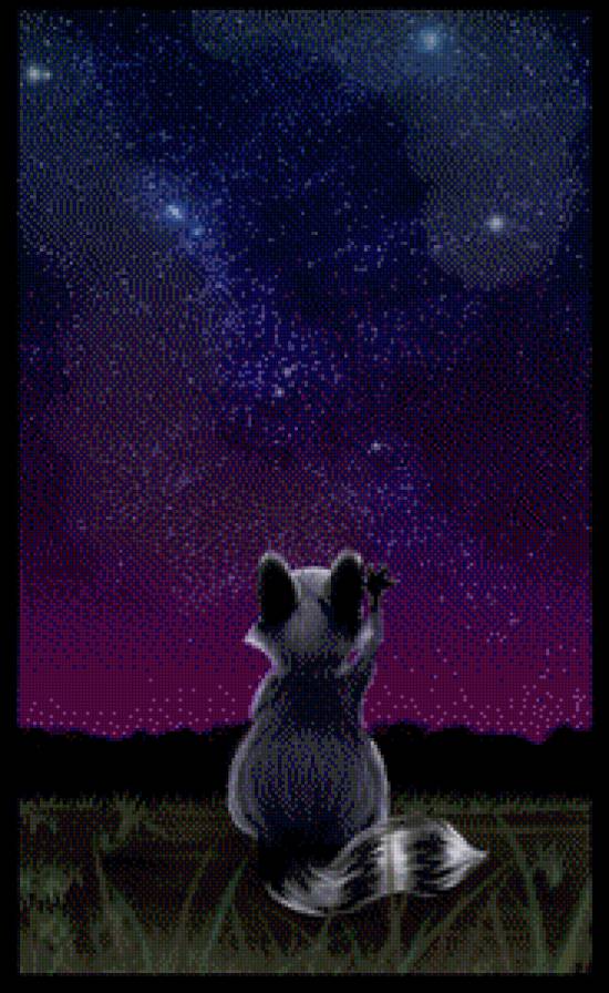 Енот-мечтатель - трава, звезды, небо, фиолетовый, ночь, енот - предпросмотр