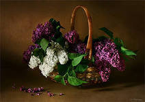 Схема вышивки «СИРЕНЬ В КОРЗИНЕ»