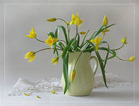 Схема вышивки «ХРУПКИЕ ЦВЕТЫ»