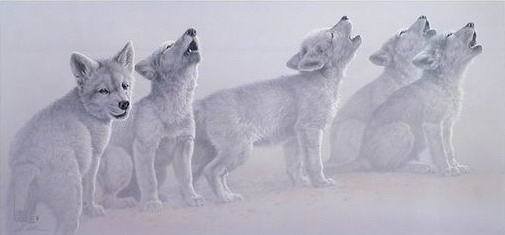 Волчата - волк, животные - оригинал