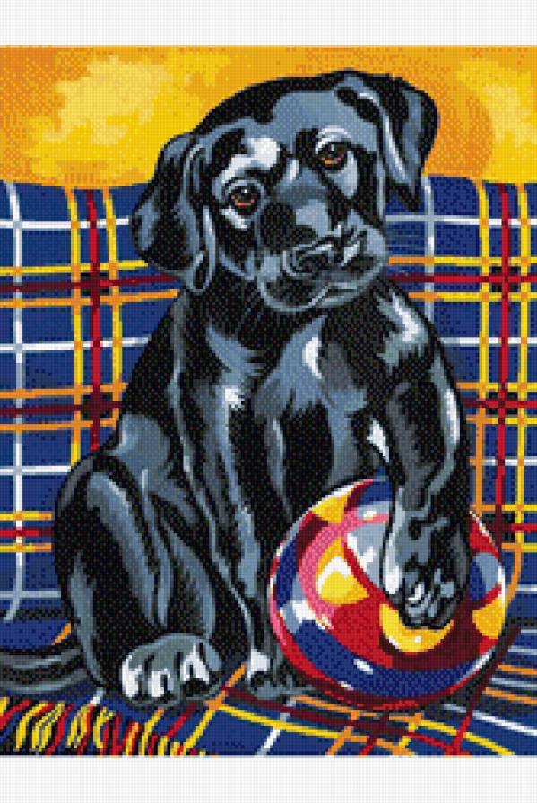 Щенок с мячом - животные, собаки - предпросмотр