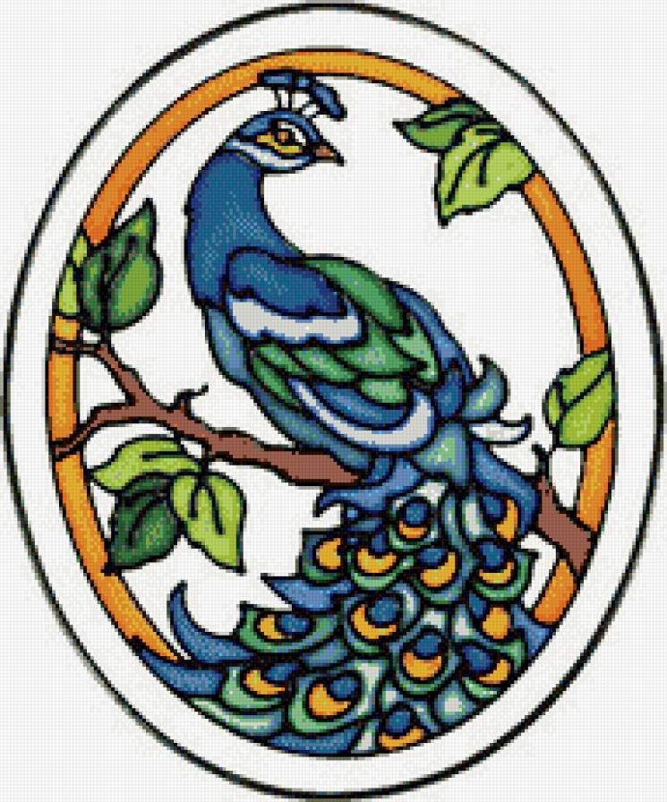 Павлин - азия, восток, птицы - предпросмотр