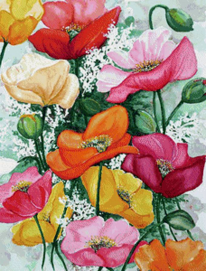 прекрасные маки - картина цветы - предпросмотр