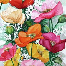 Схема вышивки «прекрасные маки»