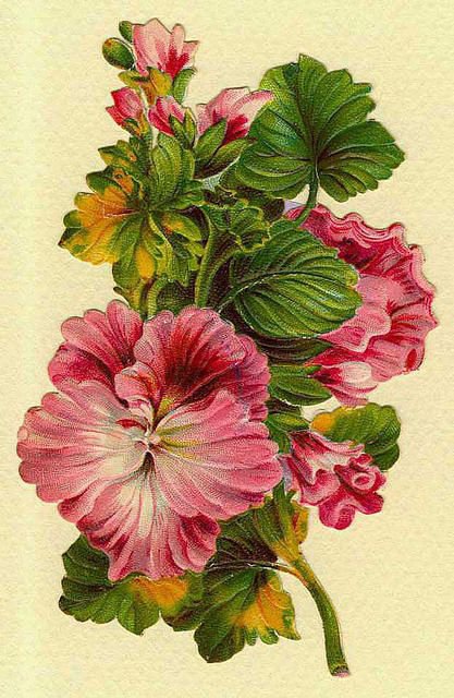 цветы - картина цветы - оригинал