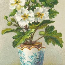 Схема вышивки «цветок»