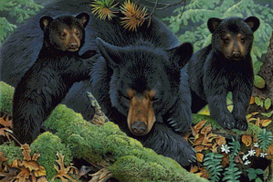 Медведица - медведи, медвежата, животные - предпросмотр