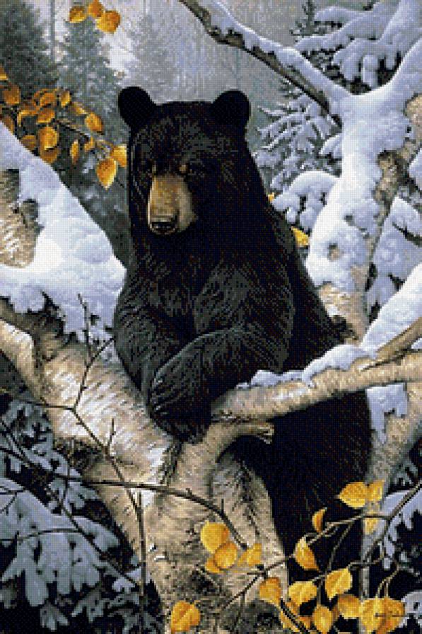 Хозяин тайги - медведи, животные - предпросмотр