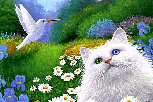 Песня лета - кот, лето, цветы, пейзаж, птичка - оригинал