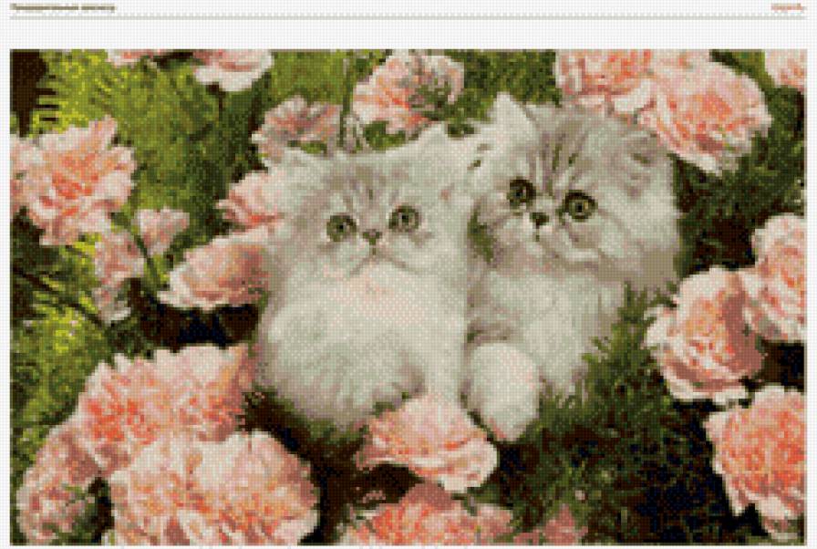 котики в цветах - предпросмотр