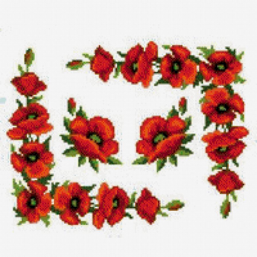 Маки - предпросмотр