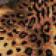 Предпросмотр схемы вышивки «Леопард» (№584522)