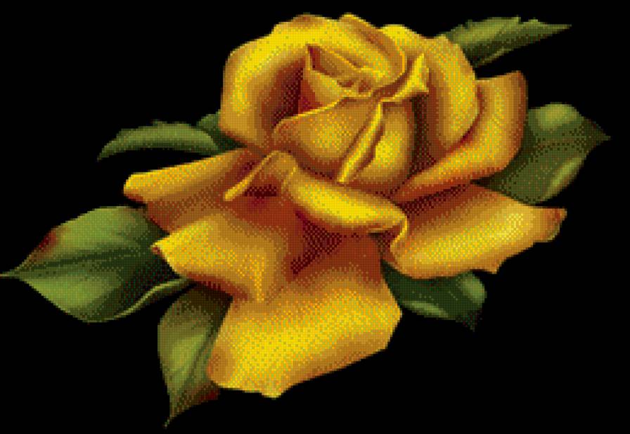 Желтая роза - розы, цветы, натюрморт - предпросмотр