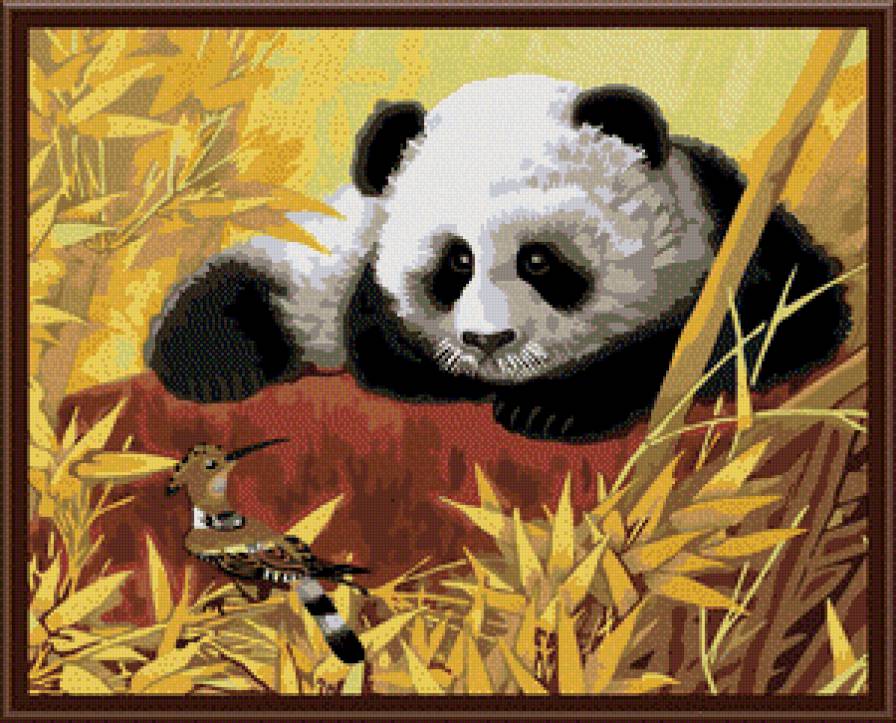 Панда с птицей - панда, животные, азия, восток, китай, медведи - предпросмотр