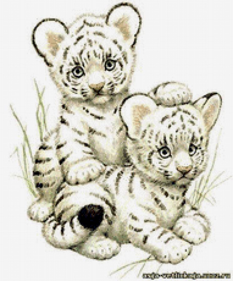 Белые тигрята - животные, коты - предпросмотр