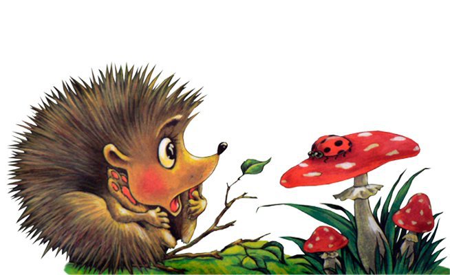 Ежик и божья коровка - ежик, животные, грибочки, детская - оригинал